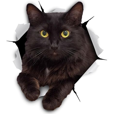 3D-Katzen-Wandaufkleber – 2er-Pack – Lustige dekorative Aufkleber – Siamkatzen-Kätzchen-Aufkleber für Wand – Kühlschrank – Toilette – Zimmer 11 x 12 cm