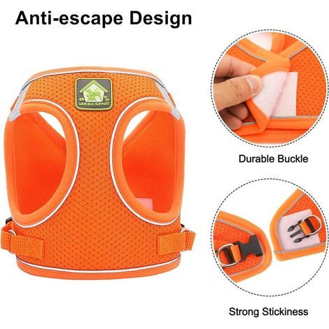 Harnais et Laisses pour Chats Harnais Chaton Anti évasion Réfléchissant Réglable Harnet pour Chat Gilet Respirant Harnais Petit Chien (M) (1/5)