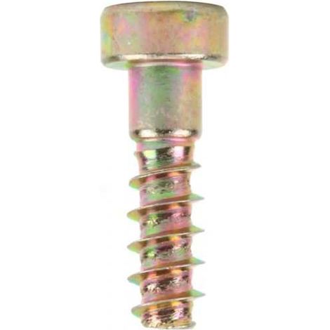 Vis torx pour tronçonneuse Stihl 046 MS460 (1/3)