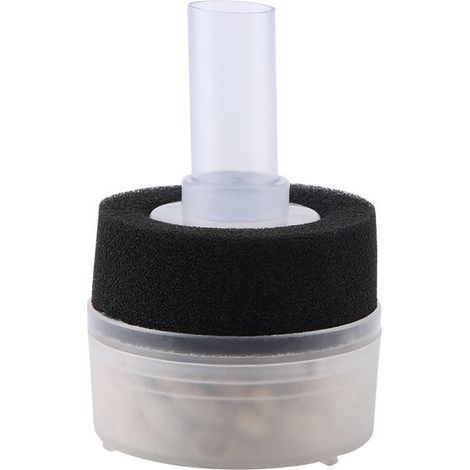 BelleRise - Filtre éponge bio aquarium – 4,5×8 cm silencieux – pour eau cristalline (1/5)