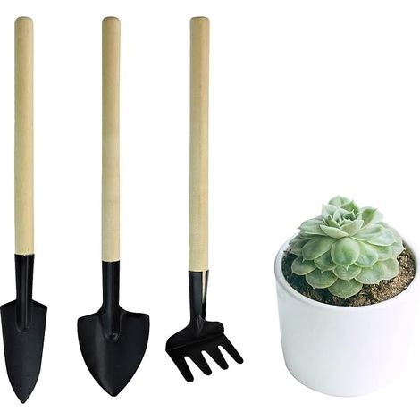 Lot de 3 mini outils de jardinage portables pour le jardin, râteau de jardinage miniature, truelle et pelle pour semis, bonsaï, plantes grasses, herbes, terrariums et plantation (1/5)