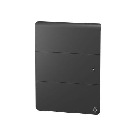 Radiateur Fonte NOIROT AXOO 750W horizontal gris anthracite connecté NEN3072SEHS (1/4)