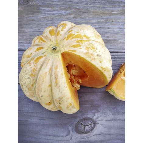 Melon 'Délice de la Table' le sachet de 15 graines