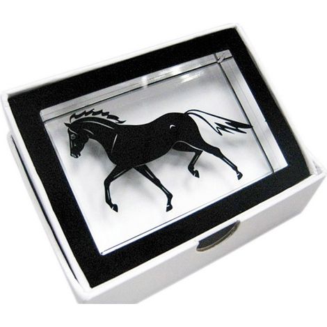 Glasröhre mit Pferd