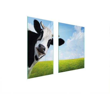 PLACA PROTECTORA DE VIDRIO 75x52 VACA (1/5)