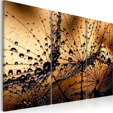 Tableau Imprimé "Pissenlit & Rosée" 40 x 60 cm (1/2)