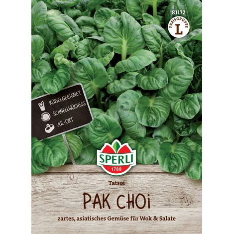 Sperli Pak Choi Tatsoi - Gemüsesamen (1/2)