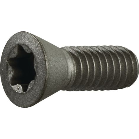 TECWERK Spannschraube Gr.T20 f.TCMT 16/SCMT 12 z.Fasenfräser TECWERK
