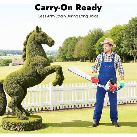 Single Blade Petrol Hedge Trimmer, 0.65kw Long Reach Hedge Trimmer, Single-Cylinder, Air-Cooled, Two-Stroke, For Garden and Landscaping Pruning