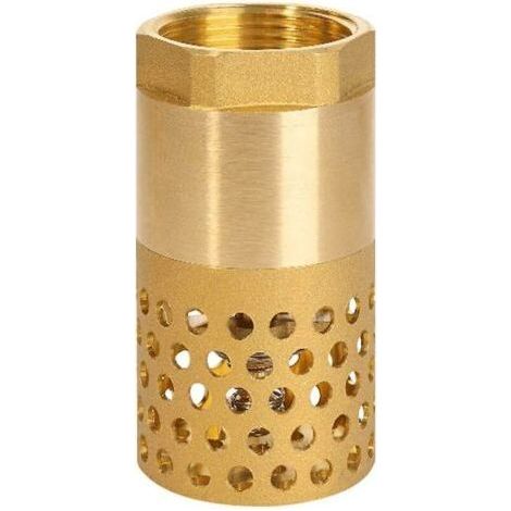 Clapet anti-retour pompe 1 pouce - clapet de pied clapet crepine anti retour (1 pouce) (1/4)