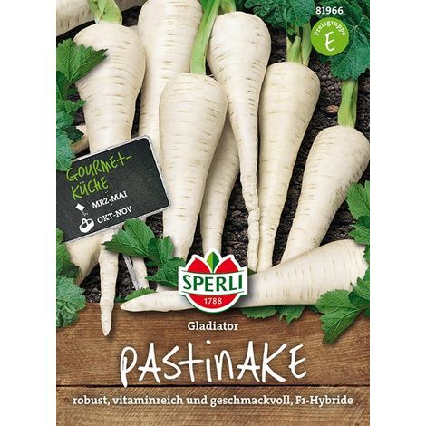 Sperli Pastinaken Gladiator F1 - Gemüsesamen (1/4)