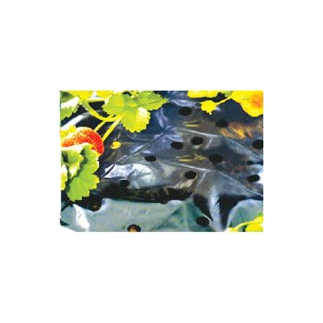 Feuille de paillis en polyéthylène noir perforé - 1,5x5 m