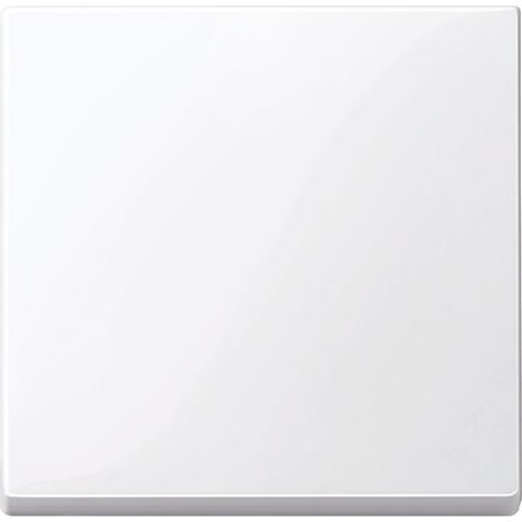 Schneider MTN432125 Clé unique blanche Serie Elegance (1/4)