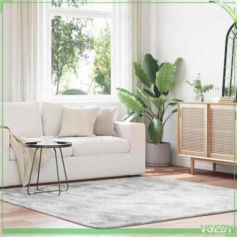 4102884 Tapis shaggy à poils longs NAVARRA gris argenté 200x200 cm (1/5)