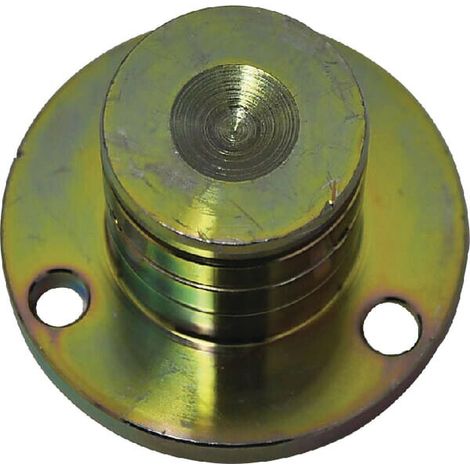 Perno de charnela DEUTZ-FAHR VF16624133