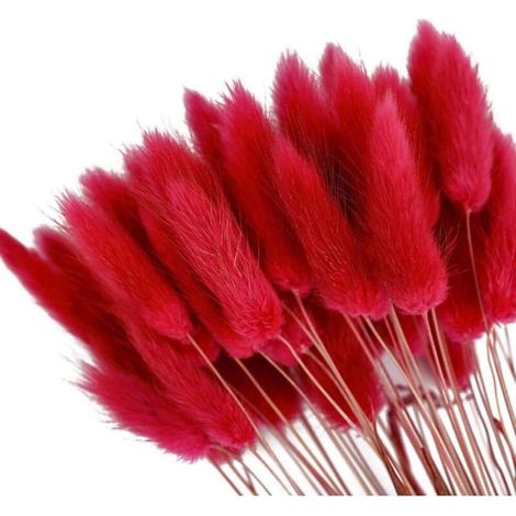 50 queues de lapin artificielles duveteuses, bouquet rustique bohème pour déco mariage et table (1/5)