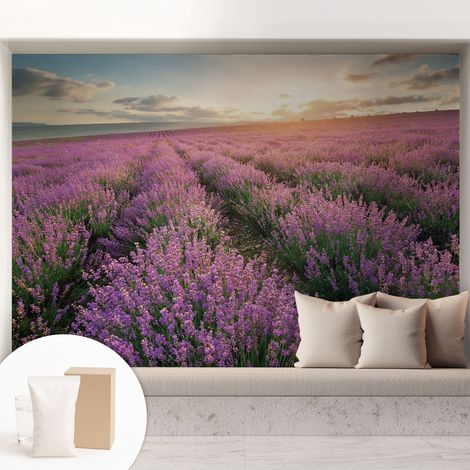 Carta Da Parati - Mural - Con Sala Da Pranzo - Camera Da Letto - Cameretta - Con Colla Gratuita Campi di lavanda 208x146 cm (1/5)