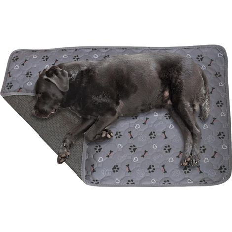 pour chien PIPI Tapis de toilette pour chien Tapis absorbant (1/5)