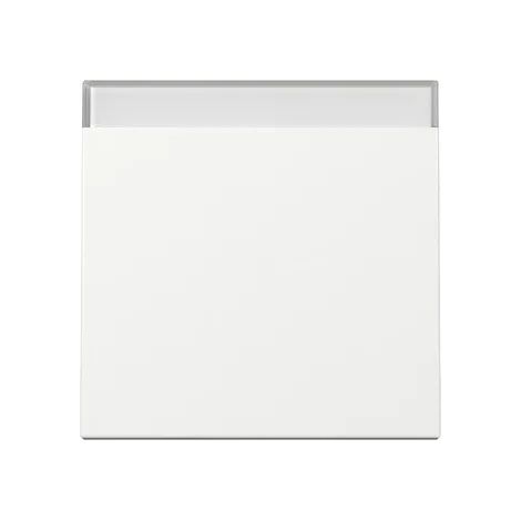 Gira Tecla BSF System 55 Reinweiß [329903], 3299 03