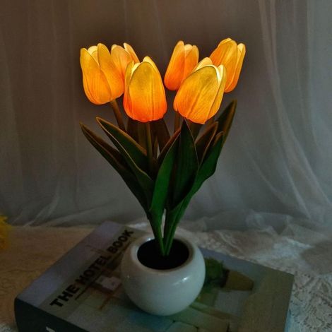 Lampe LED tulipe 2 en 1 avec vase en céramique — Décoration pour la maison, le bureau, le salon et la chambre (1/5)