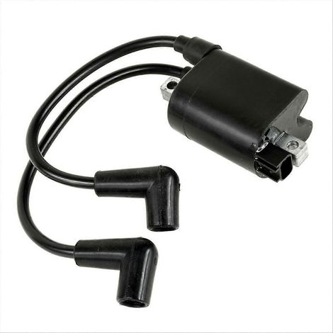 Module de bobine d'allumage haute tension pour voiturette de golf EZ-GO (1/5)