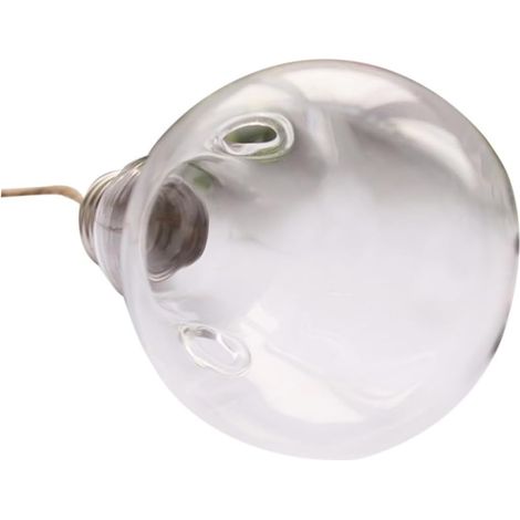 COHEALI Pot de fleurs suspendu en verre pour plantes aériennes et aquatiques, borosilicate, (1/5)