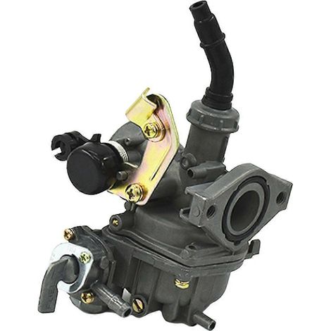 Carburateur Pz19 pour moto tricycle Dy100 110 (1/5)