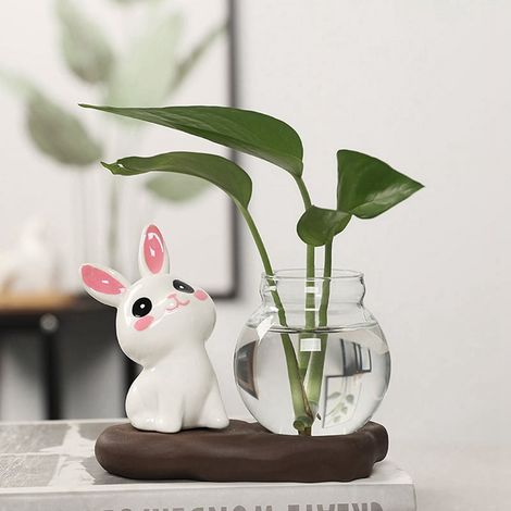 Vase Hydroponique - Verre Transparent - Pour Plantes D'Intérieur Et Fleurs Fraîches - 1 Pièce (1/5)