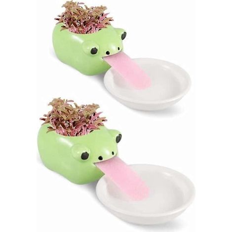 Mini-Keramikblumentöpfe mit Saugnäpfen und Untersetzer für Sukkulenten und Kakteen, Dekoration für Zuhause, Büro und Inneneinrichtung. Froschmotiv.