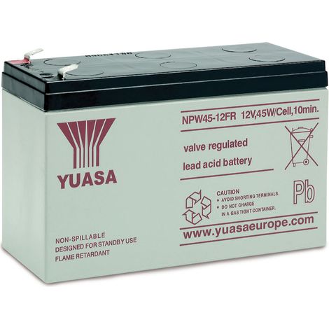 Batterie au plomb Yuasa NP45-12, 12 V-/8,5 Ah