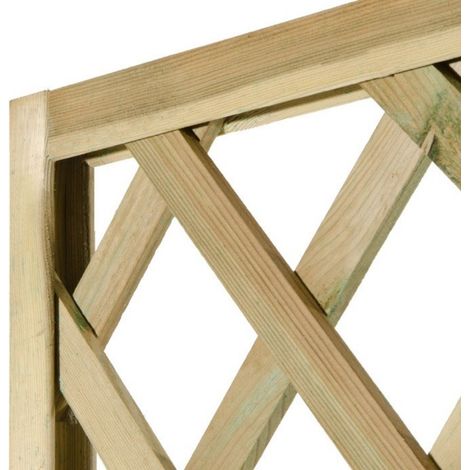 L'Arcolaio Griglia Legno Garden Rettangolare Legno Impregnato 100x200cm (1/5)