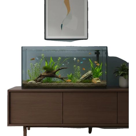 Aquarium, Construction en Verre, Cabinet de Rangement Intégré, Transparent (1/2)