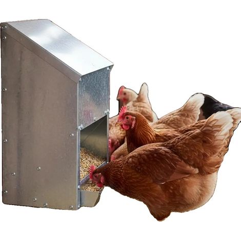 Abreuvoir pour Poules, Acier Galvanisé, Design Durable, vert armée (1/2)