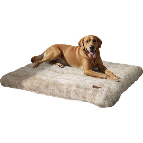 Tapis pour Chien Orthopédique Confortable avec Tissu Peluche Doux, Coussin Chien Déhoussable et Lavable en Machine pour Animaux de Compagnie - Beige 130x110x12cm