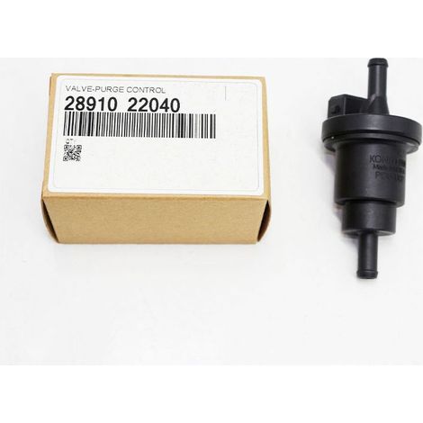 2891022040 Électrovanne de purification de canister à charbon actif compatible avec les véhicules Elantra, Sonata et Tucson. (1/5)