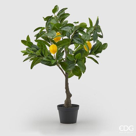 EDG Enzo De Gasperi Pianta Artificiale di Limoni Bell con Vaso Pvc H 70 Cm Giallo Verde