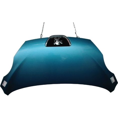 Capot PEUGEOT 107 [PRODUIT D'OCCASION]♻️1611149380 (1/2)