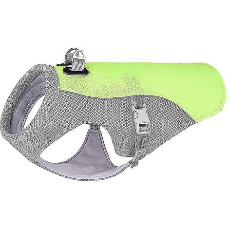 Gilet rafraîchissant pour chien, vêtement d'été ajustable, veste rafraîchissante pour chien idéale pour la randonnée, les promenades et le camping en extérieur - Taille M - Vert