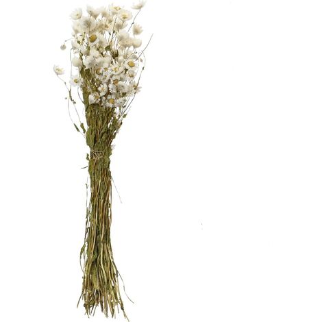 Kaemingk Trockenblumenbund Sonnenflügel-Helipterum Weiß/Gelb Ø 14 cm - Bund