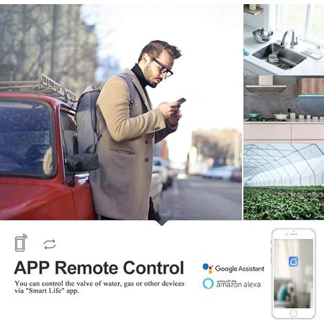 Smart Water Gas Valve Voice Control WiFi Smart Valve Compatible with and for Kitchen/Garden/Farm (EU) (1/4)