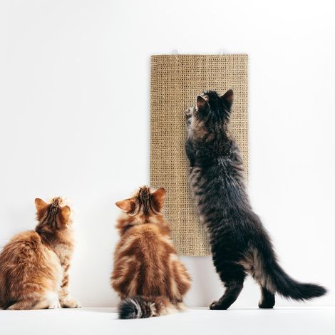 Griffoir pour chats Sisal Soin des griffes pour animaux 28 x 80 cm (1/4)