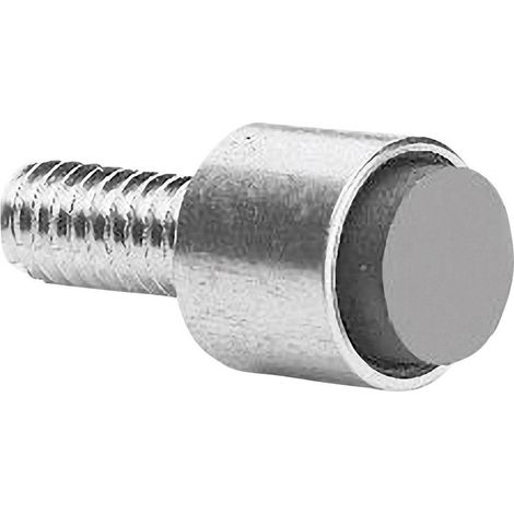 ZF AS101001 Aimant d'actionnement pour contact Reed A48952 (1/2)