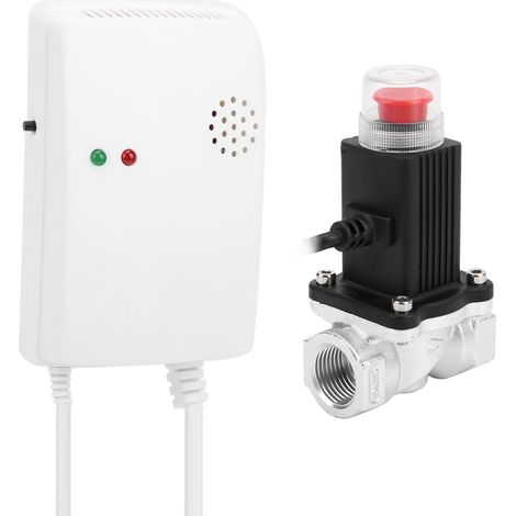 Alarme anti-gaz naturel/charbon indépendante murale pour usage domestique avec électrovanne AC110/220V (prise UE) (1/5)