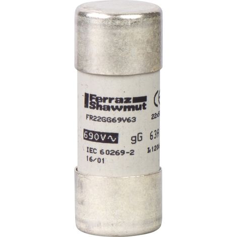 Fusibile NFC 22 x 58 mm - cilindrico - gG 100 A - senza indicatore - DF2FN100