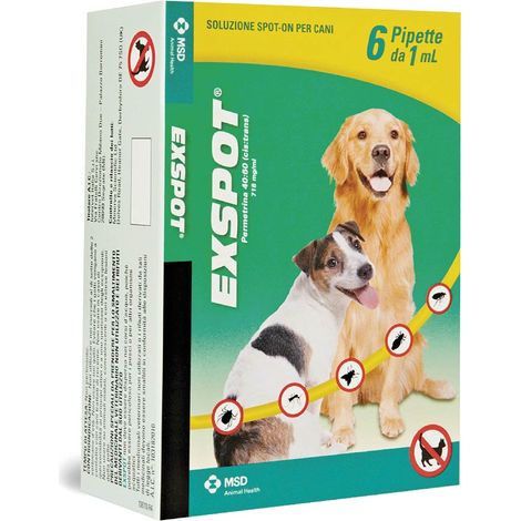 Exspot Hundekontrolllösung 6 Pipetten à 1 ml