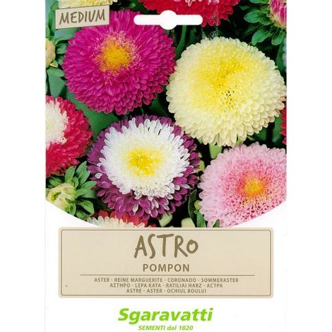 SEMI PER PRATO UNIVERSALE astro pompon