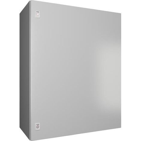 Rittal AX armario de mando gris claro 80x100x40 cm