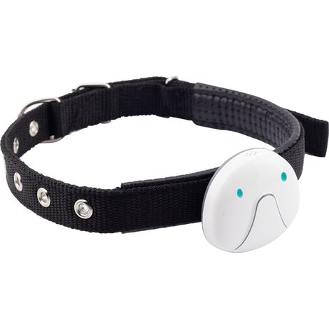 Collier GPS pour chiens et chats, traceur, blanc. (1/5)