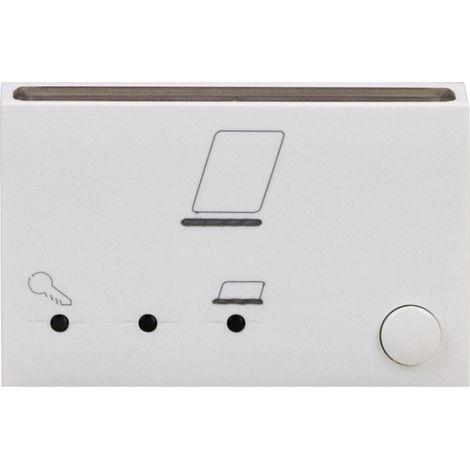 Interruttore A Badge Domus 3M AVE 441GA33