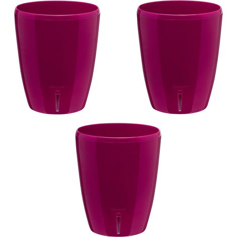 Set di 3 vasi per orchidee con riserva d'acqua - Orchidea porpora 2 litri